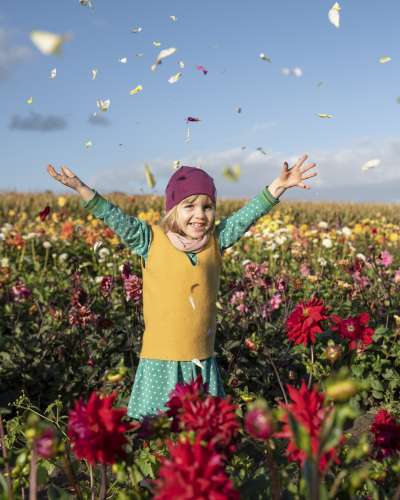 Übergang_Mood_18-188_61-349