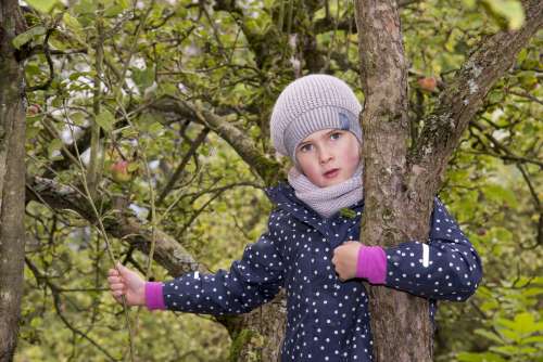 Winter_Mood_246-326_241-326