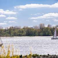 Sommer Mood Elbe und Segler (1)