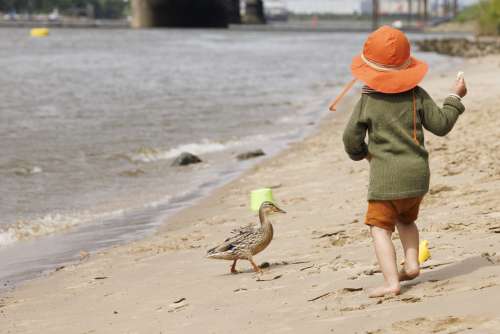 Sommer_Mood_Ente