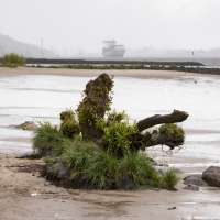 Sommer Mood Strand (1)