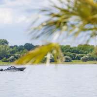 Sommer Mood palme (1)