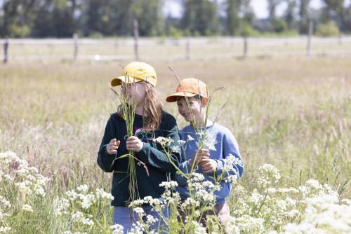 Sommer_Mood_233-360_233-343