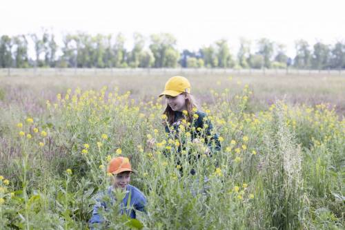 Sommer_Mood_233-360_233-343