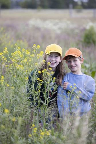 Sommer_Mood_233-360_233-343