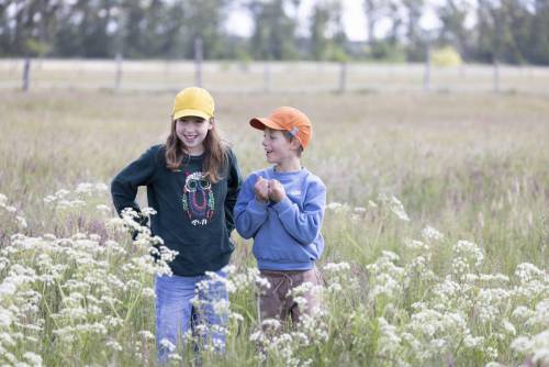 Sommer_Mood_233-360_233-343