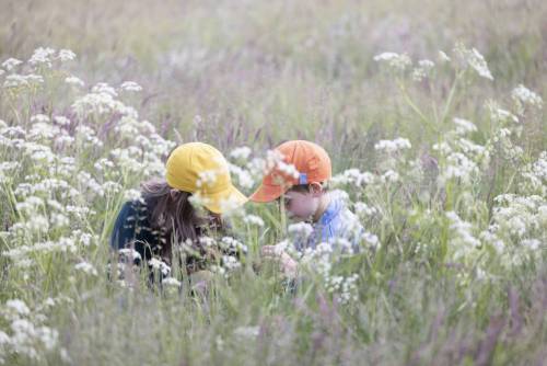 Sommer_Mood_233-360_233-343