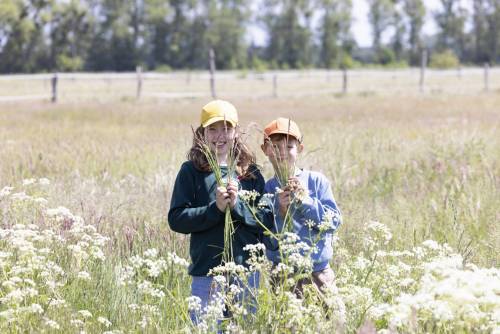 Sommer_Mood_233-360_233-343