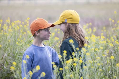 Sommer_Mood_233-360_233-343